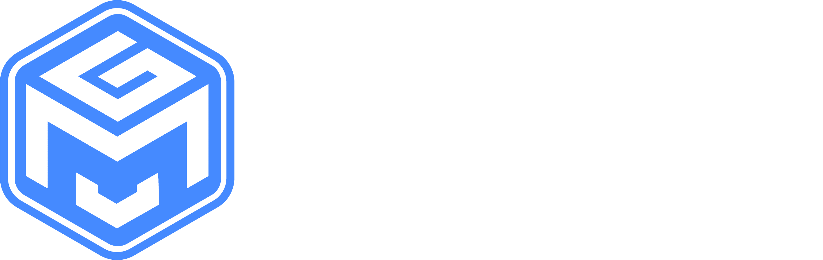 MG TECHNOLOGIES (CHILE)